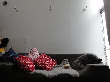 c0020830_13315682.jpg