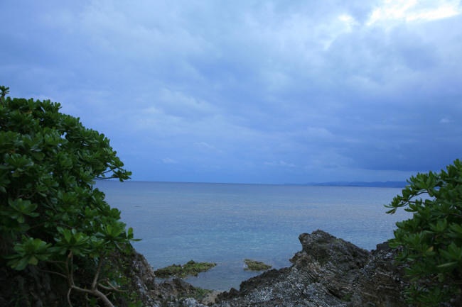 f0017530_214875.jpg