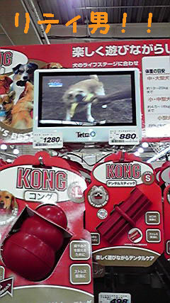 f0176830_20133023.jpg