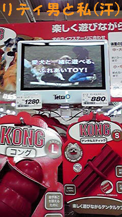 f0176830_2014711.jpg