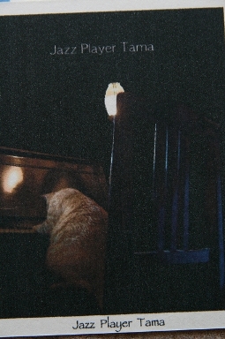 d0141239_014742.jpg
