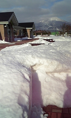 d0067640_22341148.jpg