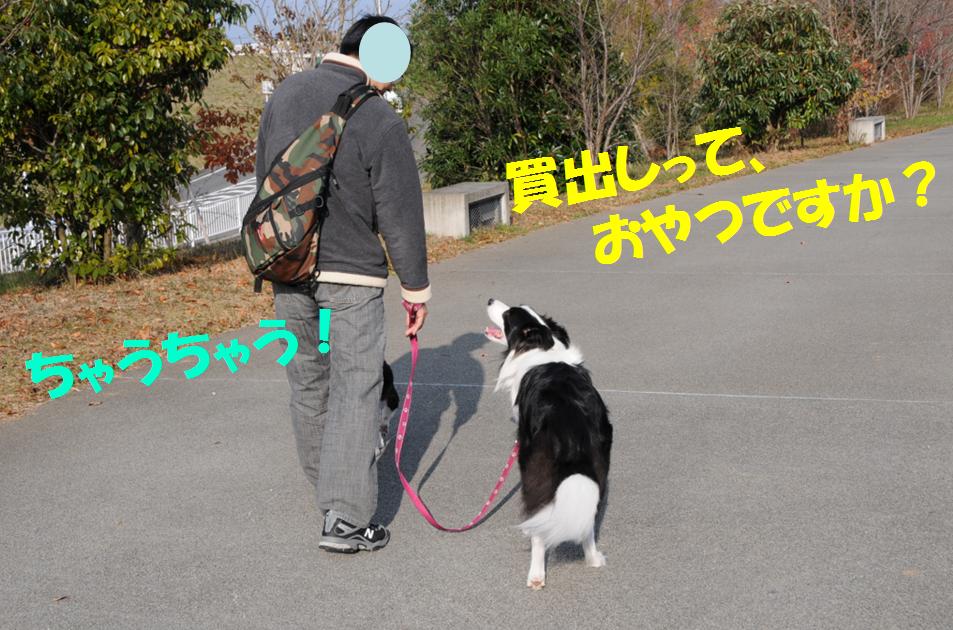 c0147241_1201577.jpg