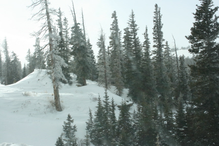 e0104941_9215459.jpg