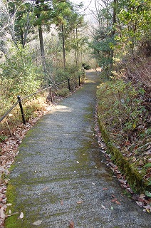b0082242_18235692.jpg