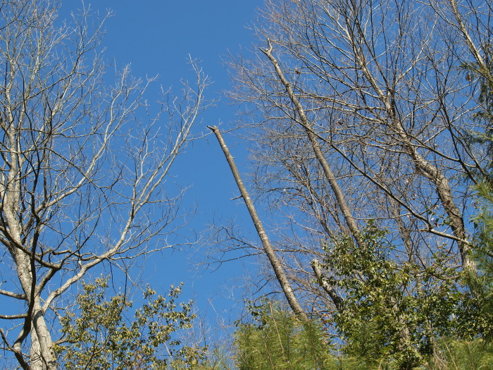 c0072843_1744249.jpg