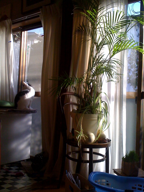 e0026053_14274879.jpg