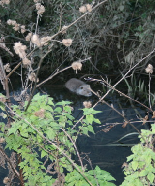 f0077159_2481977.jpg