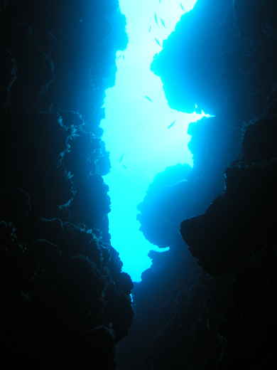 b0062363_1843644.jpg