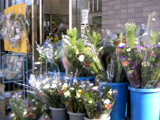 a0152665_1621617.jpg