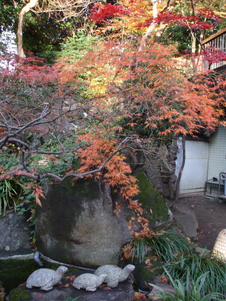 b0042177_4125614.jpg