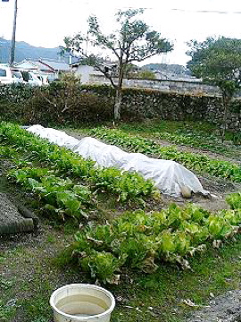 f0054677_9164818.jpg