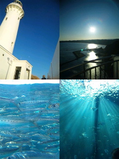 c0046979_2261782.jpg