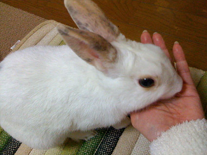 f0201191_0132159.jpg