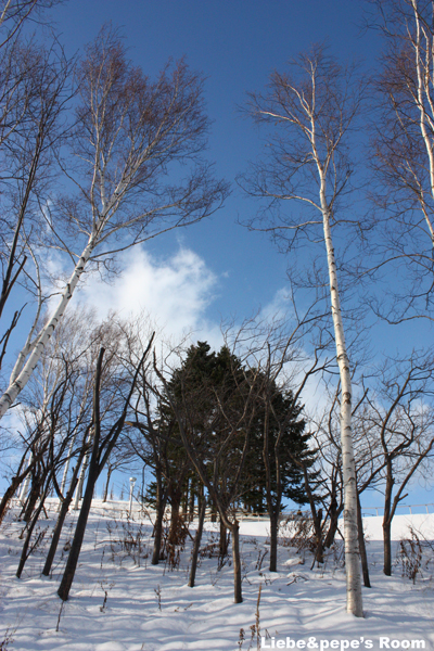 f0001895_15492865.jpg