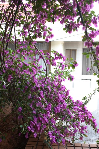 c0193396_16173259.jpg