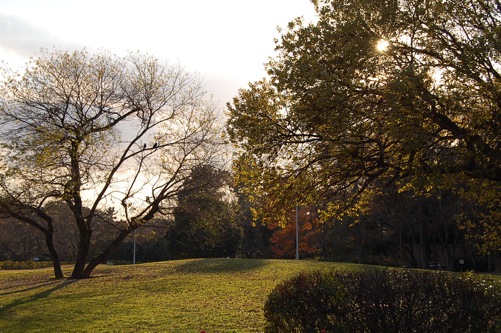 a0141498_98249.jpg
