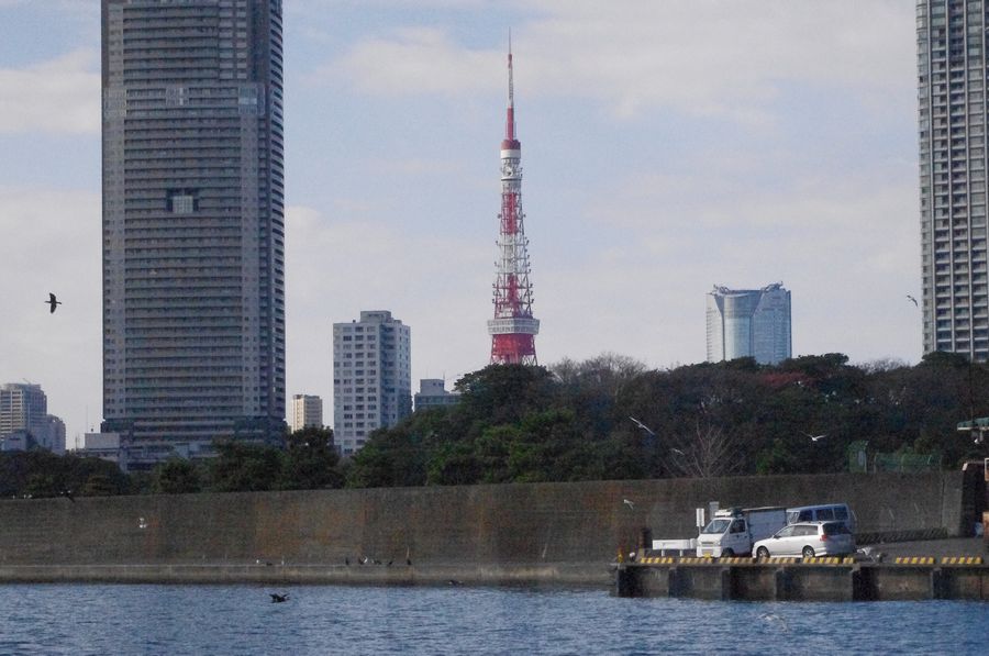 c0187503_17124440.jpg