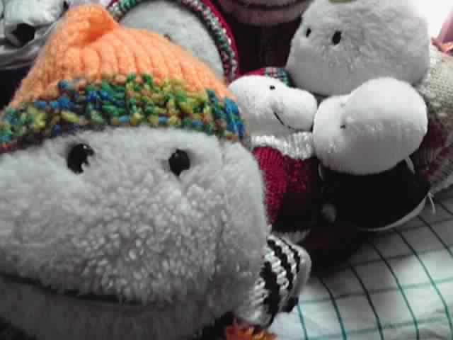 c0067610_036122.jpg