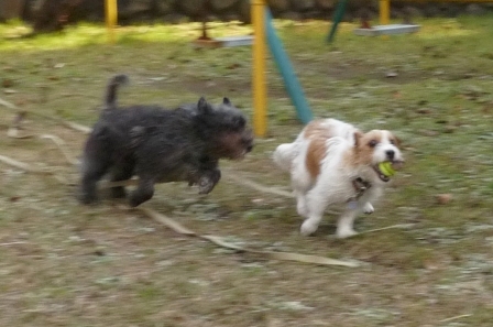 e0078510_1335247.jpg
