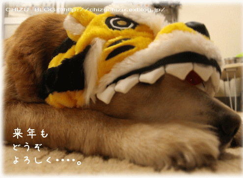 c0017311_9251794.gif