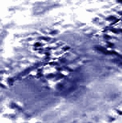 e0171614_10201397.jpg