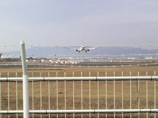c0225420_165257.jpg
