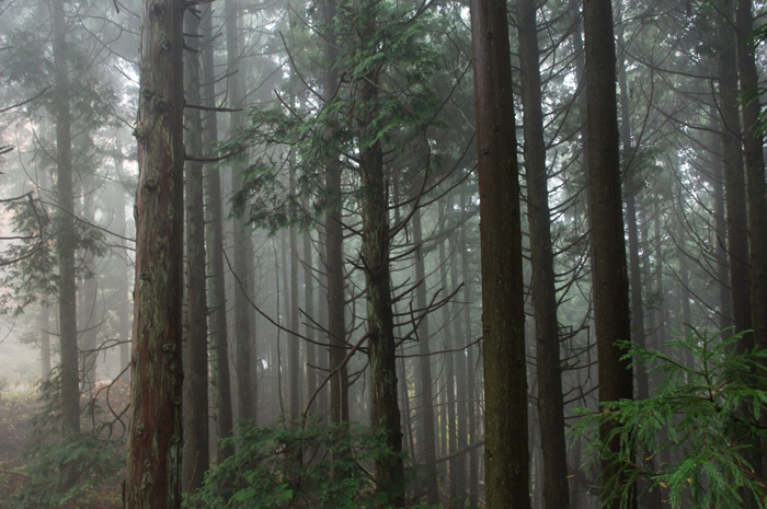 c0153223_16402233.jpg