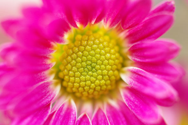 a0145825_10293186.jpg