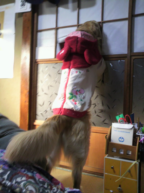 f0176830_2122970.jpg