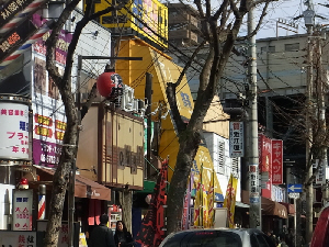 d0017632_1041651.jpg