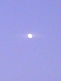 b0089434_1914549.jpg