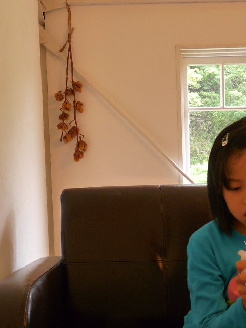 c0100534_12551417.jpg