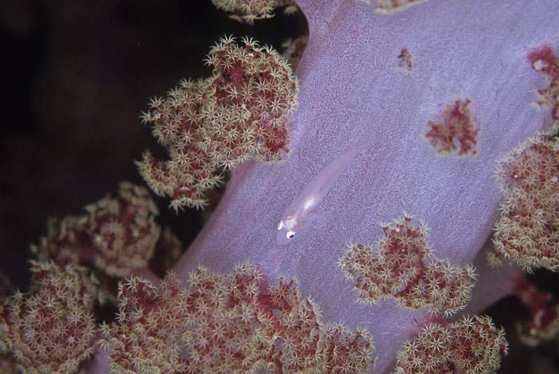 b0042837_2122841.jpg