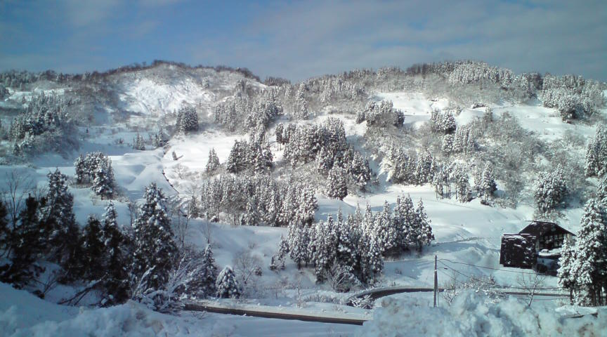 c0054838_1255152.jpg