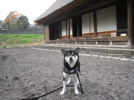 f0058241_0132545.jpg