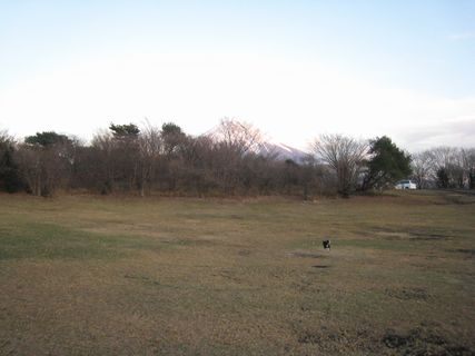 f0058241_024527.jpg