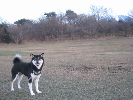 f0058241_032570.jpg