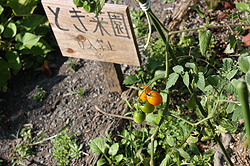 b0008655_0144187.jpg