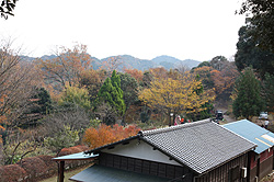 b0008655_0151726.jpg
