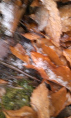 f0061067_20171223.jpg