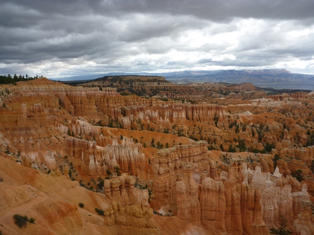 c0027776_1149760.jpg