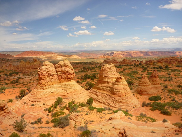 c0027776_11502818.jpg