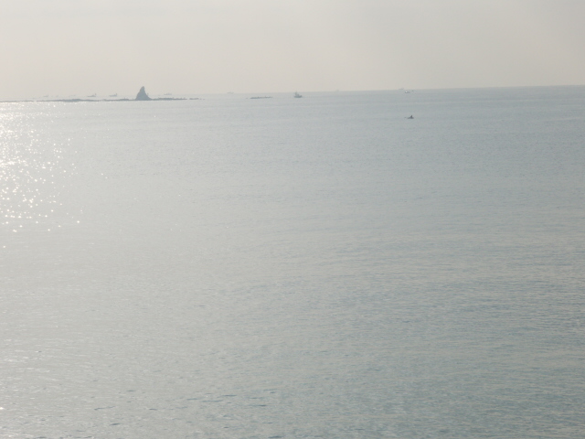 f0089978_9515888.jpg