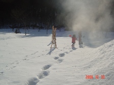 c0057781_1426630.jpg