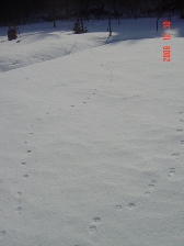 c0057781_14283654.jpg
