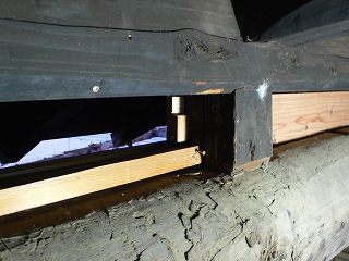 b0042882_1083688.jpg