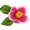 c0063182_1049279.gif