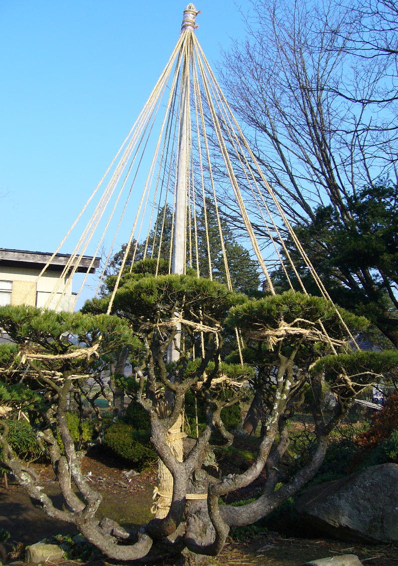 c0168584_21304557.jpg