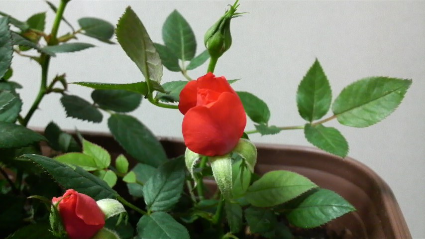 b0134285_19474124.jpg